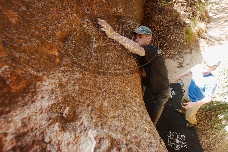 Bouldering in Hueco Tanks on 04/05/2019 with Blue Lizard Climbing and Yoga

Filename: SRM_20190405_1140220.jpg
Aperture: f/5.6
Shutter Speed: 1/200
Body: Canon EOS-1D Mark II
Lens: Canon EF 16-35mm f/2.8 L