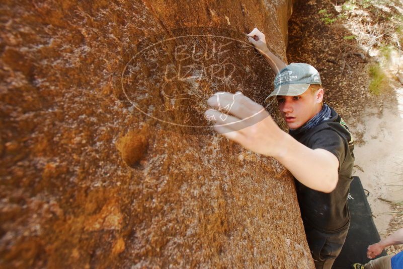 Bouldering in Hueco Tanks on 04/05/2019 with Blue Lizard Climbing and Yoga

Filename: SRM_20190405_1141520.jpg
Aperture: f/5.6
Shutter Speed: 1/160
Body: Canon EOS-1D Mark II
Lens: Canon EF 16-35mm f/2.8 L