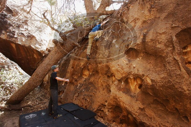 Bouldering in Hueco Tanks on 04/05/2019 with Blue Lizard Climbing and Yoga

Filename: SRM_20190405_1148580.jpg
Aperture: f/5.6
Shutter Speed: 1/160
Body: Canon EOS-1D Mark II
Lens: Canon EF 16-35mm f/2.8 L