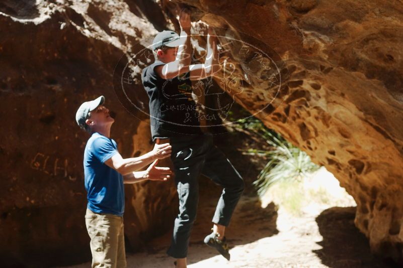 Bouldering in Hueco Tanks on 04/05/2019 with Blue Lizard Climbing and Yoga

Filename: SRM_20190405_1208390.jpg
Aperture: f/4.0
Shutter Speed: 1/800
Body: Canon EOS-1D Mark II
Lens: Canon EF 50mm f/1.8 II