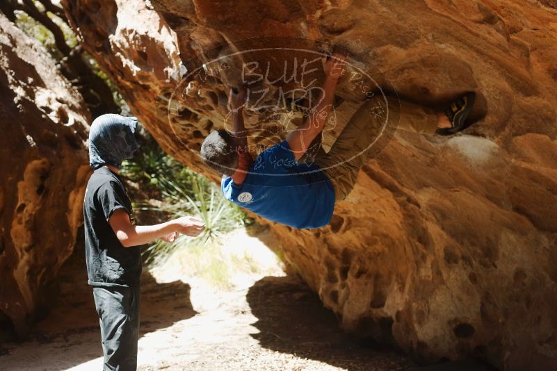 Bouldering in Hueco Tanks on 04/05/2019 with Blue Lizard Climbing and Yoga

Filename: SRM_20190405_1222160.jpg
Aperture: f/4.0
Shutter Speed: 1/800
Body: Canon EOS-1D Mark II
Lens: Canon EF 50mm f/1.8 II