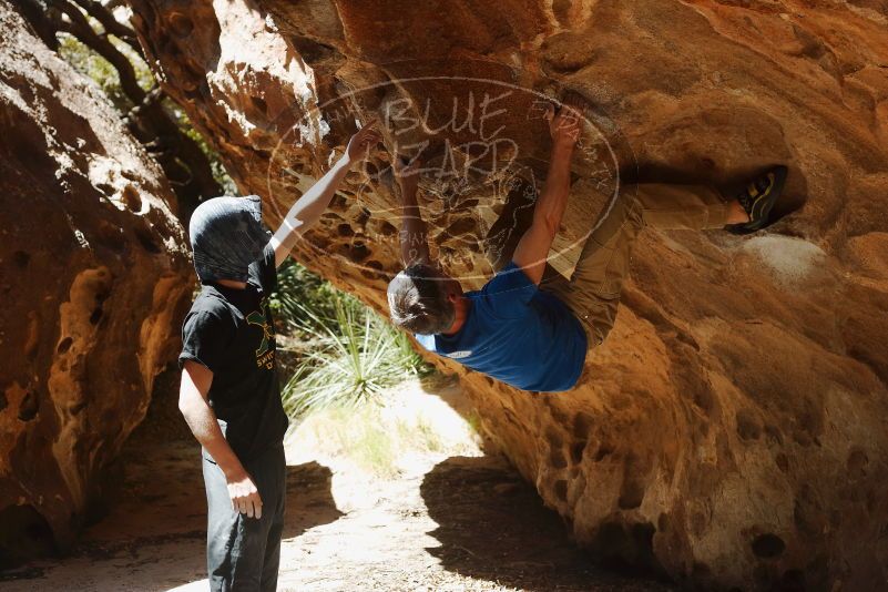 Bouldering in Hueco Tanks on 04/05/2019 with Blue Lizard Climbing and Yoga

Filename: SRM_20190405_1222200.jpg
Aperture: f/4.0
Shutter Speed: 1/800
Body: Canon EOS-1D Mark II
Lens: Canon EF 50mm f/1.8 II