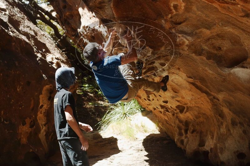 Bouldering in Hueco Tanks on 04/05/2019 with Blue Lizard Climbing and Yoga

Filename: SRM_20190405_1222381.jpg
Aperture: f/4.0
Shutter Speed: 1/1000
Body: Canon EOS-1D Mark II
Lens: Canon EF 50mm f/1.8 II