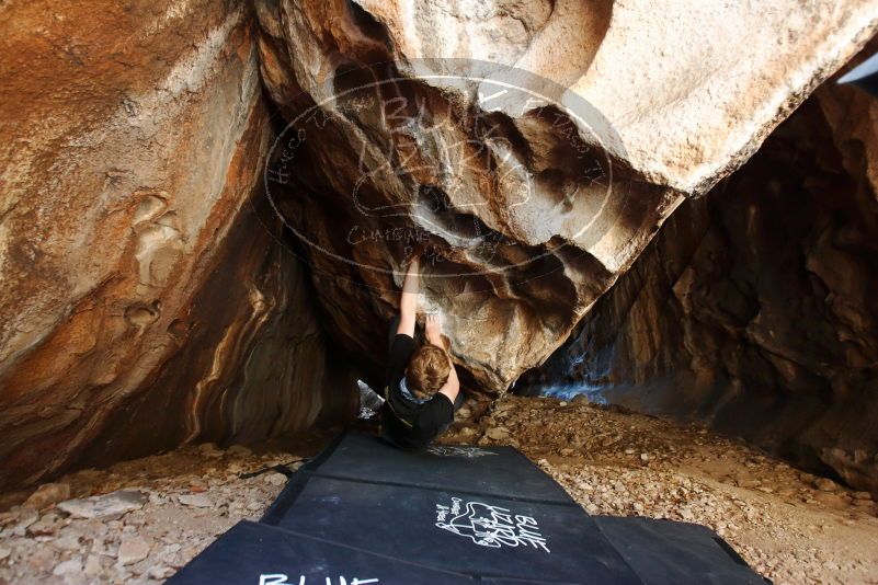 Bouldering in Hueco Tanks on 04/05/2019 with Blue Lizard Climbing and Yoga

Filename: SRM_20190405_1300230.jpg
Aperture: f/4.0
Shutter Speed: 1/80
Body: Canon EOS-1D Mark II
Lens: Canon EF 16-35mm f/2.8 L