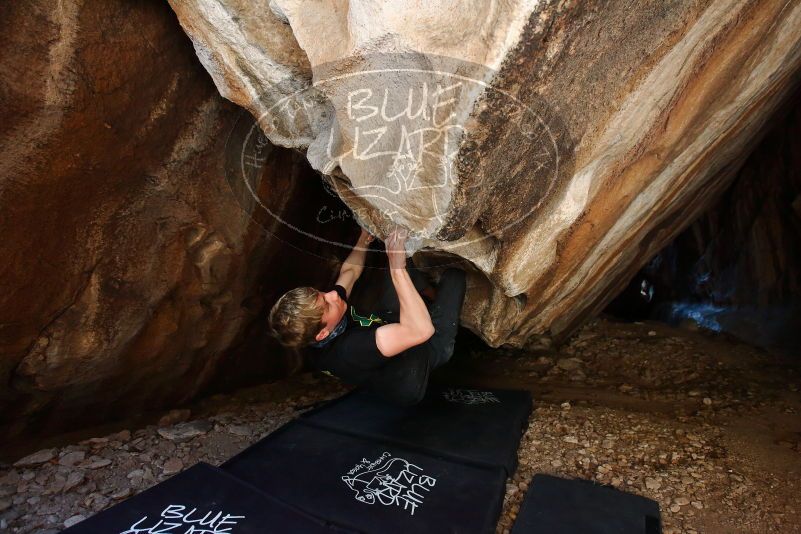 Bouldering in Hueco Tanks on 04/05/2019 with Blue Lizard Climbing and Yoga

Filename: SRM_20190405_1300510.jpg
Aperture: f/4.0
Shutter Speed: 1/160
Body: Canon EOS-1D Mark II
Lens: Canon EF 16-35mm f/2.8 L