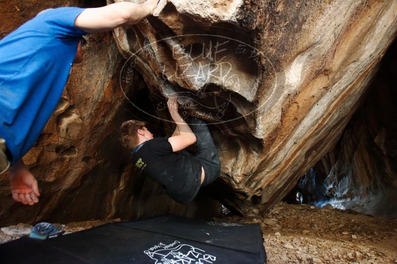 Bouldering in Hueco Tanks on 04/05/2019 with Blue Lizard Climbing and Yoga

Filename: SRM_20190405_1316060.jpg
Aperture: f/2.8
Shutter Speed: 1/125
Body: Canon EOS-1D Mark II
Lens: Canon EF 16-35mm f/2.8 L