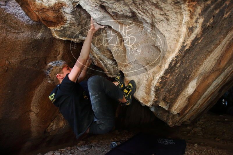 Bouldering in Hueco Tanks on 04/05/2019 with Blue Lizard Climbing and Yoga

Filename: SRM_20190405_1319530.jpg
Aperture: f/2.8
Shutter Speed: 1/320
Body: Canon EOS-1D Mark II
Lens: Canon EF 16-35mm f/2.8 L
