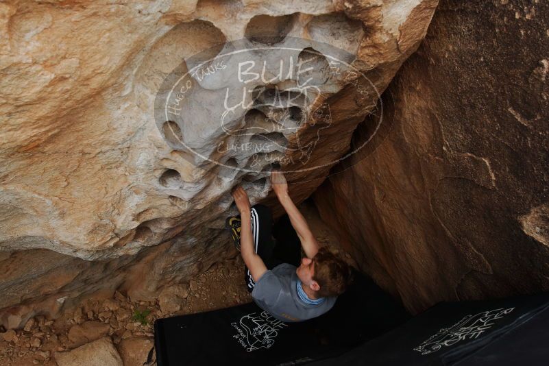 Bouldering in Hueco Tanks on 04/06/2019 with Blue Lizard Climbing and Yoga

Filename: SRM_20190406_1144480.jpg
Aperture: f/5.6
Shutter Speed: 1/200
Body: Canon EOS-1D Mark II
Lens: Canon EF 16-35mm f/2.8 L