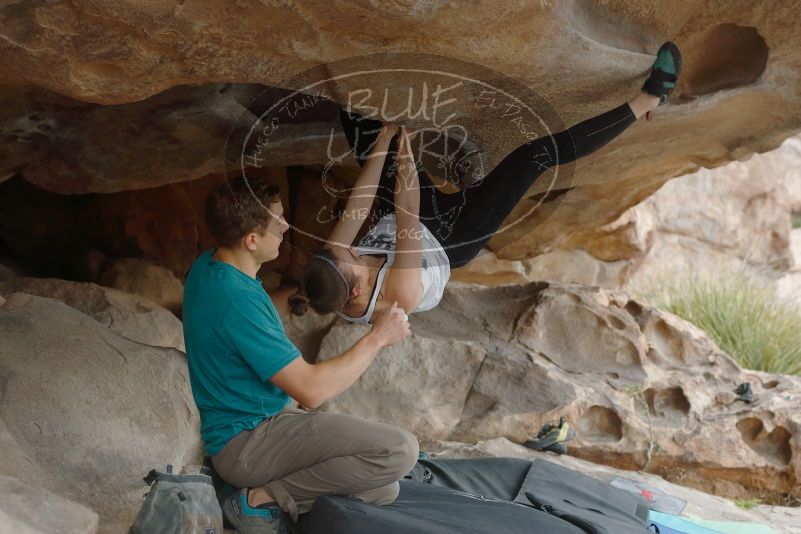 Bouldering in Hueco Tanks on 04/13/2019 with Blue Lizard Climbing and Yoga

Filename: SRM_20190413_1310550.jpg
Aperture: f/4.0
Shutter Speed: 1/400
Body: Canon EOS-1D Mark II
Lens: Canon EF 50mm f/1.8 II