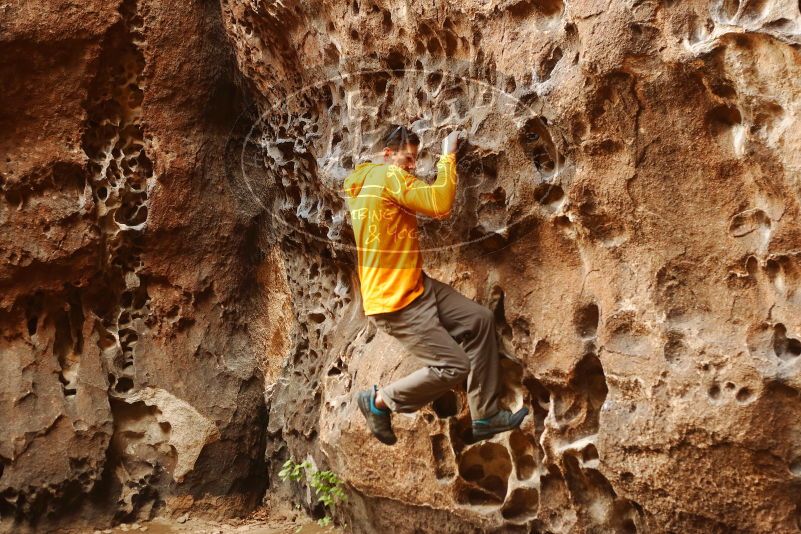 Bouldering in Hueco Tanks on 04/13/2019 with Blue Lizard Climbing and Yoga

Filename: SRM_20190413_1538460.jpg
Aperture: f/3.5
Shutter Speed: 1/160
Body: Canon EOS-1D Mark II
Lens: Canon EF 50mm f/1.8 II
