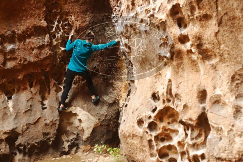 Bouldering in Hueco Tanks on 04/13/2019 with Blue Lizard Climbing and Yoga
Filename: SRM_20190413_1541260.jpg
Aperture: f/3.5
Shutter Speed: 1/100
Body: Canon EOS-1D Mark II
Lens: Canon EF 50mm f/1.8 II