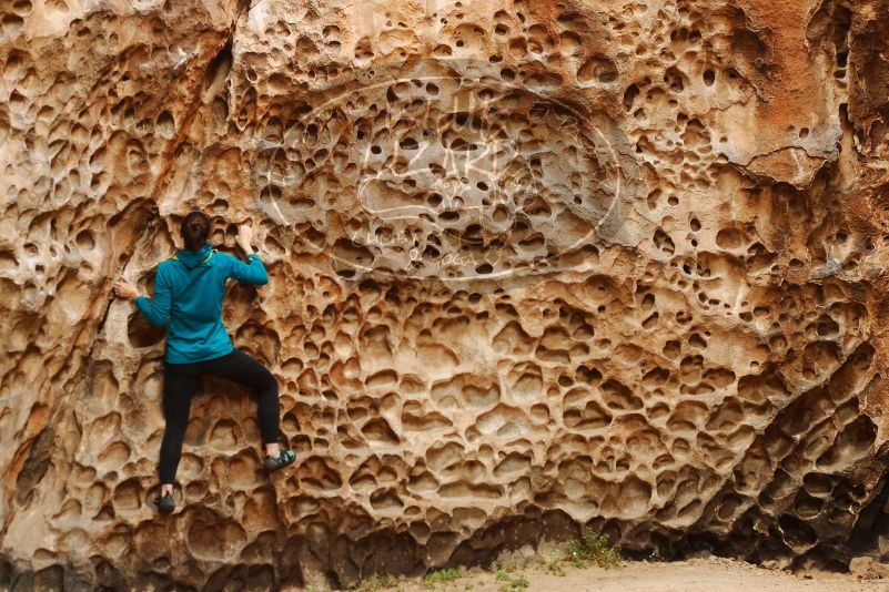 Bouldering in Hueco Tanks on 04/13/2019 with Blue Lizard Climbing and Yoga

Filename: SRM_20190413_1545150.jpg
Aperture: f/4.0
Shutter Speed: 1/200
Body: Canon EOS-1D Mark II
Lens: Canon EF 50mm f/1.8 II