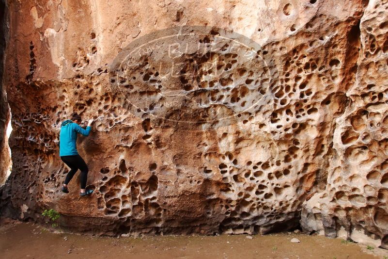 Bouldering in Hueco Tanks on 04/13/2019 with Blue Lizard Climbing and Yoga
Filename: SRM_20190413_1552570.jpg
Aperture: f/4.0
Shutter Speed: 1/100
Body: Canon EOS-1D Mark II
Lens: Canon EF 16-35mm f/2.8 L