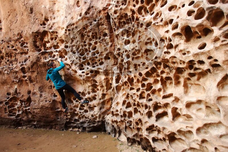Bouldering in Hueco Tanks on 04/13/2019 with Blue Lizard Climbing and Yoga

Filename: SRM_20190413_1553420.jpg
Aperture: f/4.0
Shutter Speed: 1/100
Body: Canon EOS-1D Mark II
Lens: Canon EF 16-35mm f/2.8 L