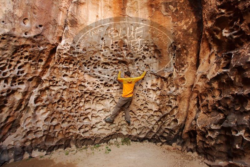 Bouldering in Hueco Tanks on 04/13/2019 with Blue Lizard Climbing and Yoga

Filename: SRM_20190413_1555570.jpg
Aperture: f/4.5
Shutter Speed: 1/125
Body: Canon EOS-1D Mark II
Lens: Canon EF 16-35mm f/2.8 L