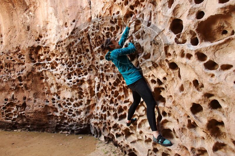 Bouldering in Hueco Tanks on 04/13/2019 with Blue Lizard Climbing and Yoga
Filename: SRM_20190413_1557100.jpg
Aperture: f/5.0
Shutter Speed: 1/80
Body: Canon EOS-1D Mark II
Lens: Canon EF 16-35mm f/2.8 L