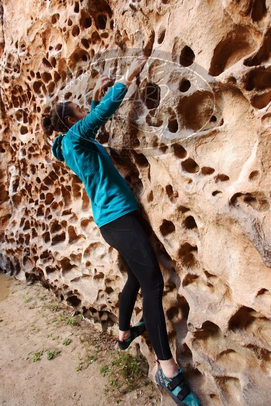 Bouldering in Hueco Tanks on 04/13/2019 with Blue Lizard Climbing and Yoga

Filename: SRM_20190413_1557250.jpg
Aperture: f/5.0
Shutter Speed: 1/60
Body: Canon EOS-1D Mark II
Lens: Canon EF 16-35mm f/2.8 L