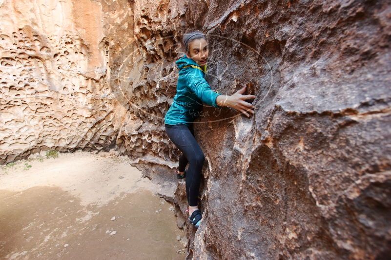 Bouldering in Hueco Tanks on 04/13/2019 with Blue Lizard Climbing and Yoga
Filename: SRM_20190413_1559450.jpg
Aperture: f/5.0
Shutter Speed: 1/40
Body: Canon EOS-1D Mark II
Lens: Canon EF 16-35mm f/2.8 L