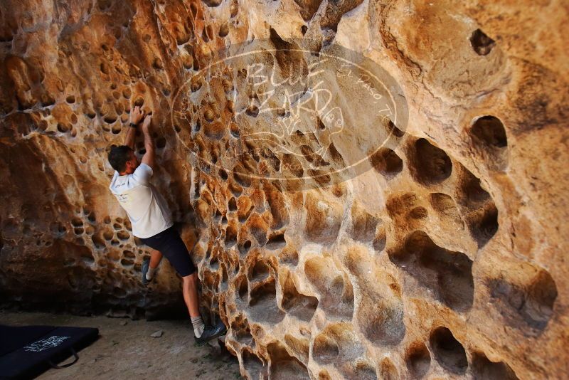 Bouldering in Hueco Tanks on 04/26/2019 with Blue Lizard Climbing and Yoga
Filename: SRM_20190426_1214310.jpg
Aperture: f/5.6
Shutter Speed: 1/400
Body: Canon EOS-1D Mark II
Lens: Canon EF 16-35mm f/2.8 L