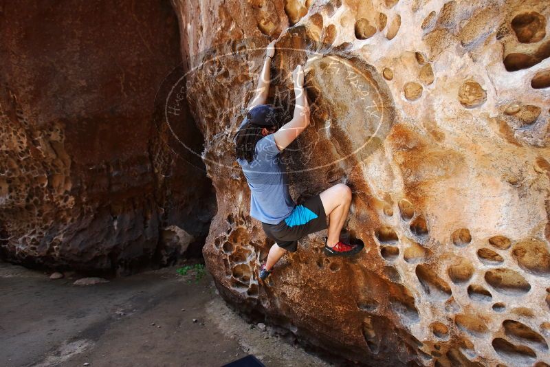 Bouldering in Hueco Tanks on 04/26/2019 with Blue Lizard Climbing and Yoga

Filename: SRM_20190426_1218490.jpg
Aperture: f/4.0
Shutter Speed: 1/200
Body: Canon EOS-1D Mark II
Lens: Canon EF 16-35mm f/2.8 L