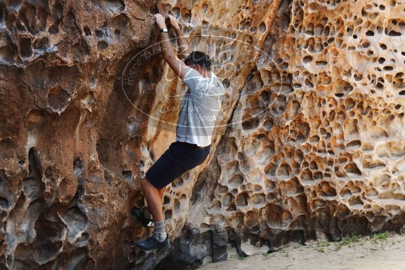 Bouldering in Hueco Tanks on 04/26/2019 with Blue Lizard Climbing and Yoga

Filename: SRM_20190426_1227180.jpg
Aperture: f/4.0
Shutter Speed: 1/160
Body: Canon EOS-1D Mark II
Lens: Canon EF 50mm f/1.8 II