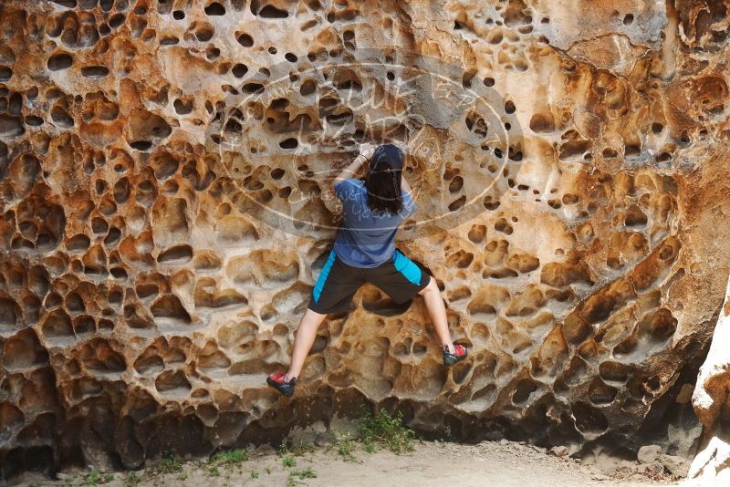 Bouldering in Hueco Tanks on 04/26/2019 with Blue Lizard Climbing and Yoga

Filename: SRM_20190426_1229420.jpg
Aperture: f/4.0
Shutter Speed: 1/400
Body: Canon EOS-1D Mark II
Lens: Canon EF 50mm f/1.8 II