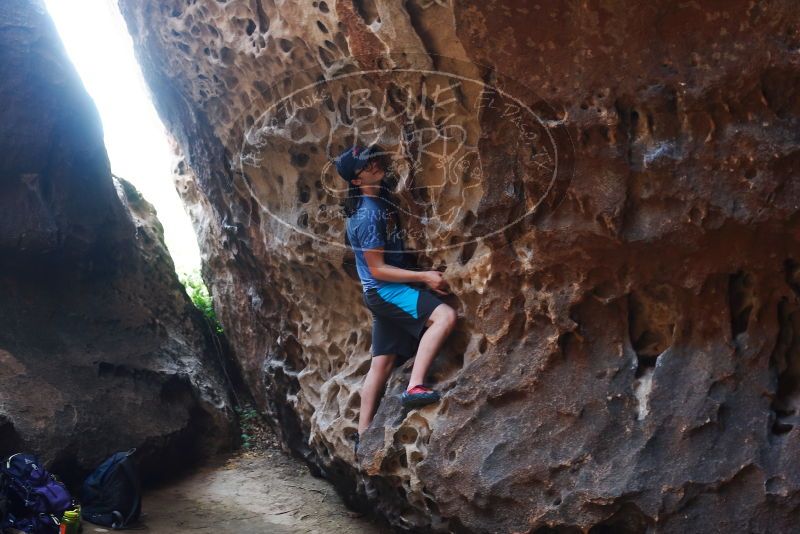 Bouldering in Hueco Tanks on 04/26/2019 with Blue Lizard Climbing and Yoga

Filename: SRM_20190426_1234220.jpg
Aperture: f/4.0
Shutter Speed: 1/80
Body: Canon EOS-1D Mark II
Lens: Canon EF 50mm f/1.8 II