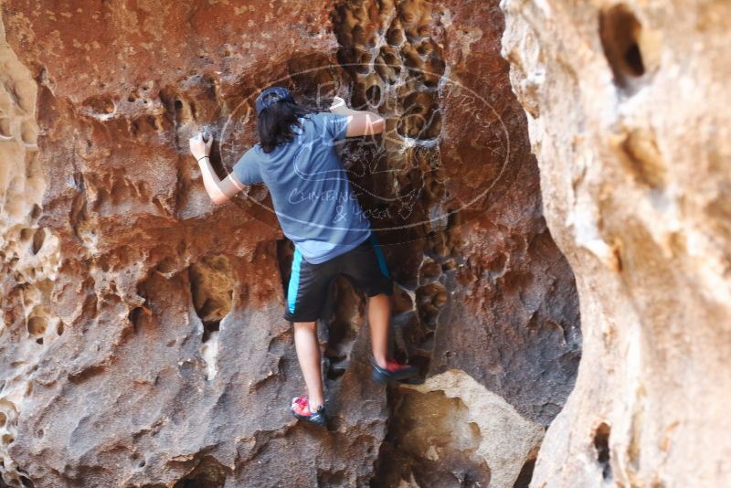 Bouldering in Hueco Tanks on 04/26/2019 with Blue Lizard Climbing and Yoga
Filename: SRM_20190426_1235050.jpg
Aperture: f/3.5
Shutter Speed: 1/40
Body: Canon EOS-1D Mark II
Lens: Canon EF 50mm f/1.8 II