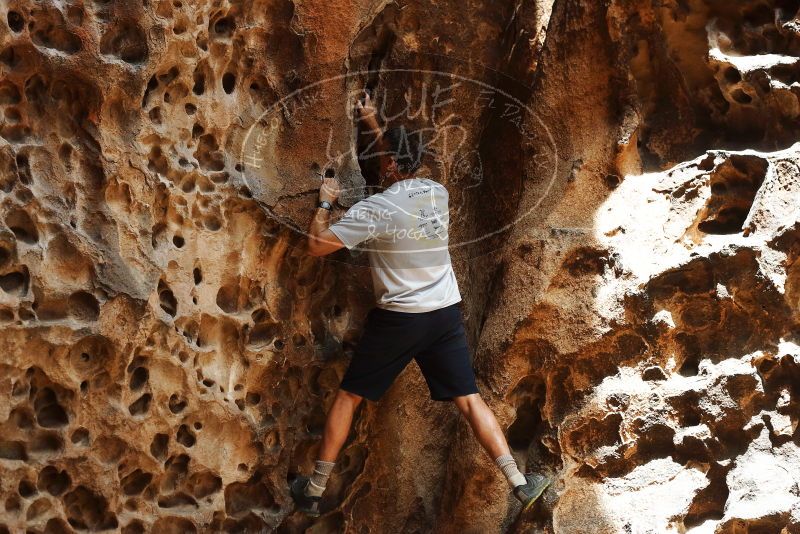 Bouldering in Hueco Tanks on 04/26/2019 with Blue Lizard Climbing and Yoga

Filename: SRM_20190426_1249370.jpg
Aperture: f/4.0
Shutter Speed: 1/800
Body: Canon EOS-1D Mark II
Lens: Canon EF 50mm f/1.8 II