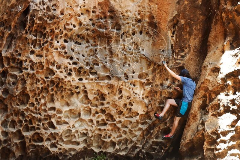 Bouldering in Hueco Tanks on 04/26/2019 with Blue Lizard Climbing and Yoga

Filename: SRM_20190426_1251110.jpg
Aperture: f/4.0
Shutter Speed: 1/320
Body: Canon EOS-1D Mark II
Lens: Canon EF 50mm f/1.8 II
