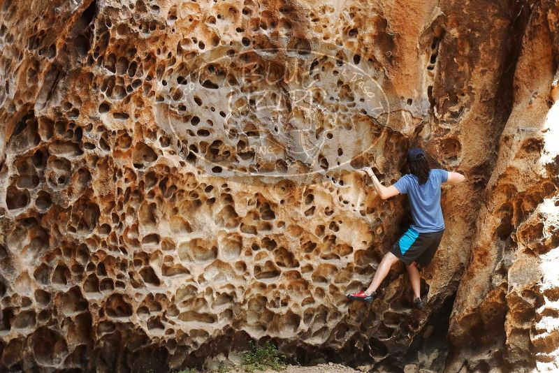 Bouldering in Hueco Tanks on 04/26/2019 with Blue Lizard Climbing and Yoga

Filename: SRM_20190426_1251270.jpg
Aperture: f/4.0
Shutter Speed: 1/320
Body: Canon EOS-1D Mark II
Lens: Canon EF 50mm f/1.8 II