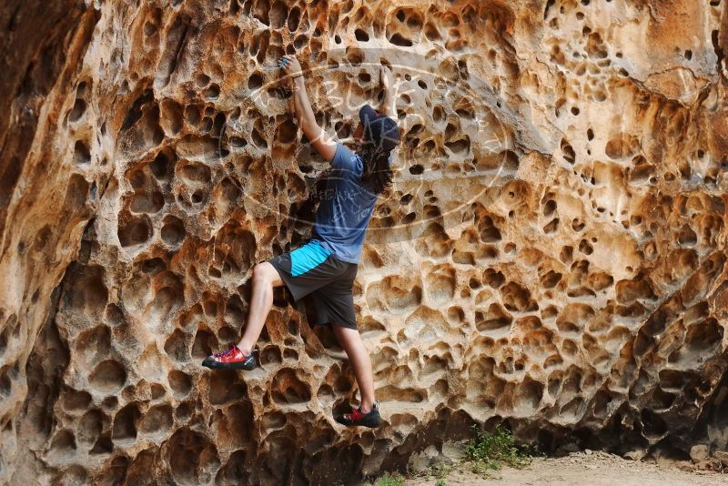 Bouldering in Hueco Tanks on 04/26/2019 with Blue Lizard Climbing and Yoga

Filename: SRM_20190426_1252060.jpg
Aperture: f/4.0
Shutter Speed: 1/250
Body: Canon EOS-1D Mark II
Lens: Canon EF 50mm f/1.8 II