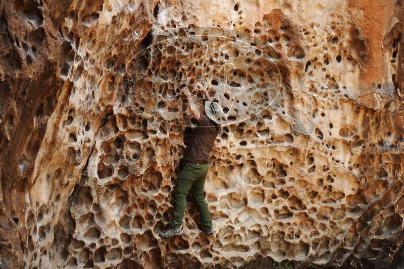 Bouldering in Hueco Tanks on 04/26/2019 with Blue Lizard Climbing and Yoga

Filename: SRM_20190426_1255000.jpg
Aperture: f/4.0
Shutter Speed: 1/250
Body: Canon EOS-1D Mark II
Lens: Canon EF 50mm f/1.8 II