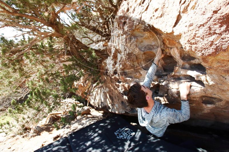 Bouldering in Hueco Tanks on 06/15/2019 with Blue Lizard Climbing and Yoga
Filename: SRM_20190615_0951310.jpg
Aperture: f/5.0
Shutter Speed: 1/320
Body: Canon EOS-1D Mark II
Lens: Canon EF 16-35mm f/2.8 L