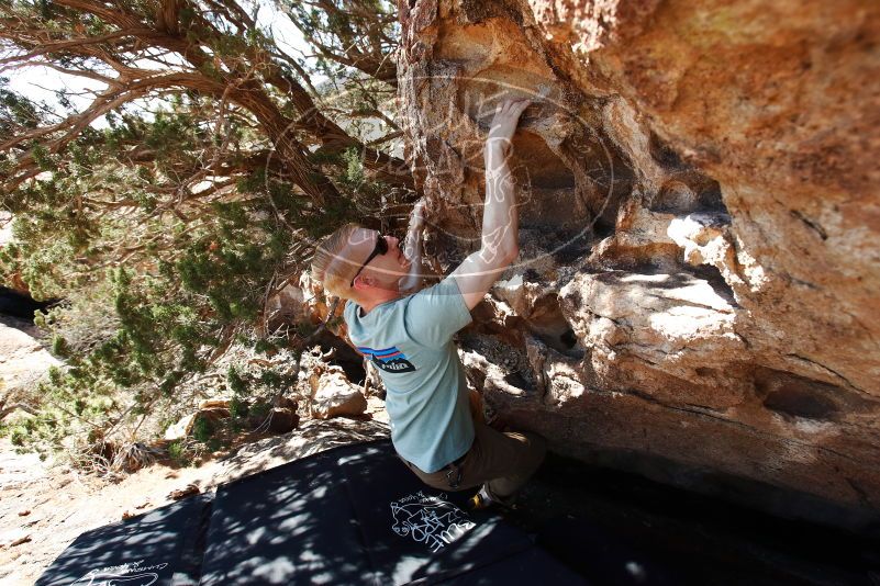 Bouldering in Hueco Tanks on 06/15/2019 with Blue Lizard Climbing and Yoga
Filename: SRM_20190615_0955470.jpg
Aperture: f/5.0
Shutter Speed: 1/400
Body: Canon EOS-1D Mark II
Lens: Canon EF 16-35mm f/2.8 L