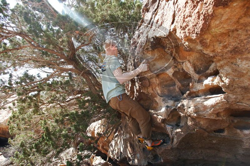 Bouldering in Hueco Tanks on 06/15/2019 with Blue Lizard Climbing and Yoga
Filename: SRM_20190615_0955580.jpg
Aperture: f/5.0
Shutter Speed: 1/500
Body: Canon EOS-1D Mark II
Lens: Canon EF 16-35mm f/2.8 L