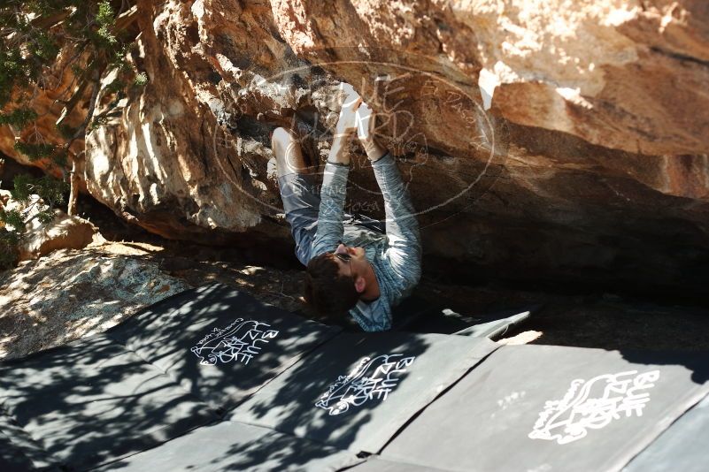 Bouldering in Hueco Tanks on 06/15/2019 with Blue Lizard Climbing and Yoga
Filename: SRM_20190615_1009260.jpg
Aperture: f/3.2
Shutter Speed: 1/320
Body: Canon EOS-1D Mark II
Lens: Canon EF 50mm f/1.8 II