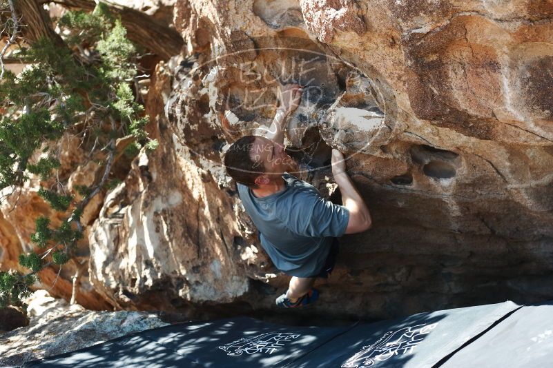 Bouldering in Hueco Tanks on 06/15/2019 with Blue Lizard Climbing and Yoga
Filename: SRM_20190615_1014100.jpg
Aperture: f/3.5
Shutter Speed: 1/320
Body: Canon EOS-1D Mark II
Lens: Canon EF 50mm f/1.8 II