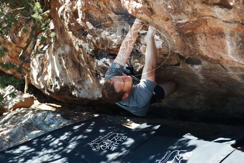 Bouldering in Hueco Tanks on 06/15/2019 with Blue Lizard Climbing and Yoga
Filename: SRM_20190615_1014550.jpg
Aperture: f/3.5
Shutter Speed: 1/320
Body: Canon EOS-1D Mark II
Lens: Canon EF 50mm f/1.8 II