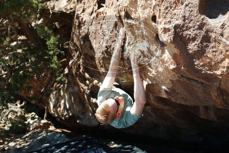 Bouldering in Hueco Tanks on 06/15/2019 with Blue Lizard Climbing and Yoga
Filename: SRM_20190615_1016490.jpg
Aperture: f/3.5
Shutter Speed: 1/800
Body: Canon EOS-1D Mark II
Lens: Canon EF 50mm f/1.8 II