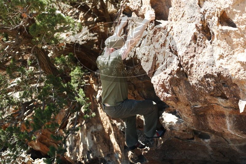 Bouldering in Hueco Tanks on 06/15/2019 with Blue Lizard Climbing and Yoga

Filename: SRM_20190615_1020400.jpg
Aperture: f/3.5
Shutter Speed: 1/500
Body: Canon EOS-1D Mark II
Lens: Canon EF 50mm f/1.8 II