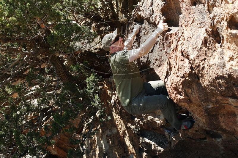 Bouldering in Hueco Tanks on 06/15/2019 with Blue Lizard Climbing and Yoga
Filename: SRM_20190615_1020430.jpg
Aperture: f/3.5
Shutter Speed: 1/800
Body: Canon EOS-1D Mark II
Lens: Canon EF 50mm f/1.8 II