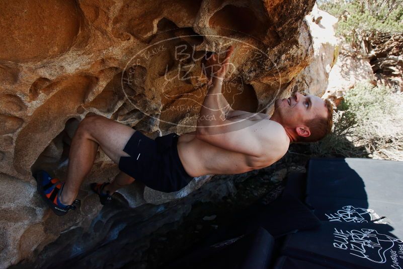 Bouldering in Hueco Tanks on 06/15/2019 with Blue Lizard Climbing and Yoga
Filename: SRM_20190615_1101350.jpg
Aperture: f/5.6
Shutter Speed: 1/500
Body: Canon EOS-1D Mark II
Lens: Canon EF 16-35mm f/2.8 L