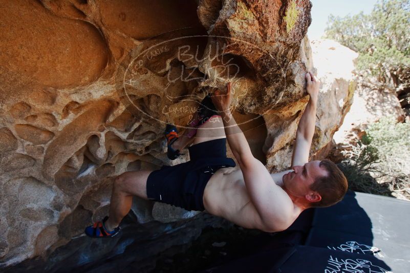 Bouldering in Hueco Tanks on 06/15/2019 with Blue Lizard Climbing and Yoga
Filename: SRM_20190615_1108270.jpg
Aperture: f/5.6
Shutter Speed: 1/500
Body: Canon EOS-1D Mark II
Lens: Canon EF 16-35mm f/2.8 L