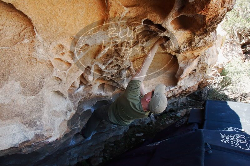 Bouldering in Hueco Tanks on 06/15/2019 with Blue Lizard Climbing and Yoga
Filename: SRM_20190615_1111130.jpg
Aperture: f/5.6
Shutter Speed: 1/400
Body: Canon EOS-1D Mark II
Lens: Canon EF 16-35mm f/2.8 L