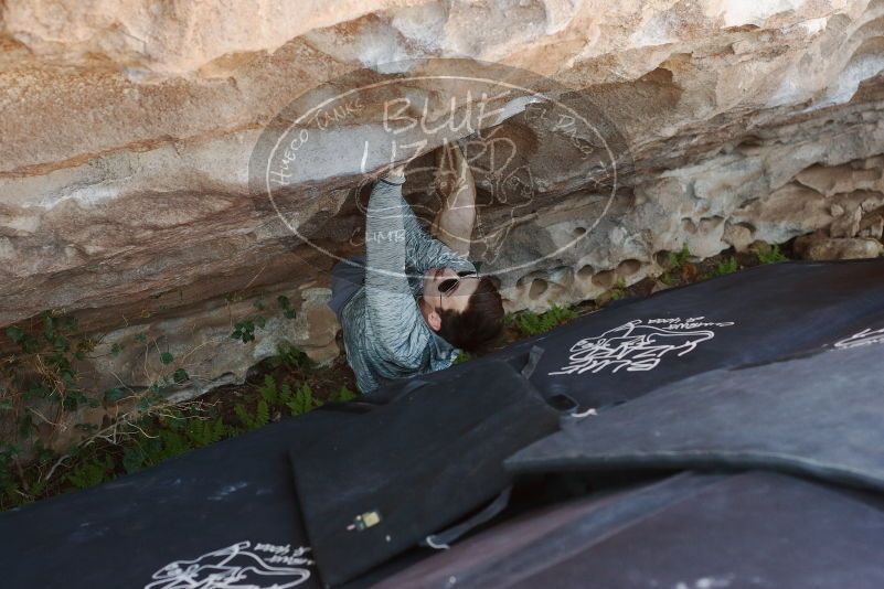 Bouldering in Hueco Tanks on 06/15/2019 with Blue Lizard Climbing and Yoga
Filename: SRM_20190615_1145020.jpg
Aperture: f/4.0
Shutter Speed: 1/250
Body: Canon EOS-1D Mark II
Lens: Canon EF 50mm f/1.8 II