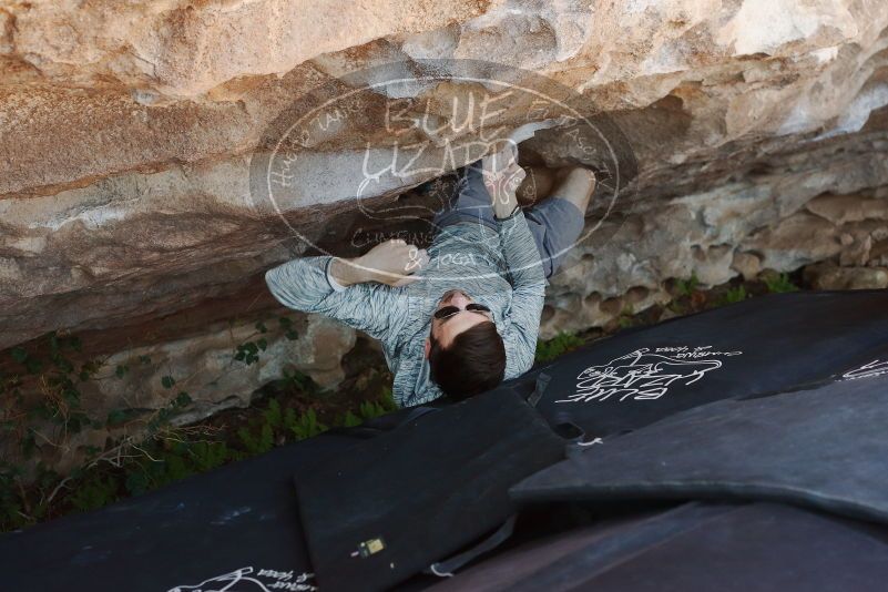 Bouldering in Hueco Tanks on 06/15/2019 with Blue Lizard Climbing and Yoga
Filename: SRM_20190615_1145050.jpg
Aperture: f/4.0
Shutter Speed: 1/320
Body: Canon EOS-1D Mark II
Lens: Canon EF 50mm f/1.8 II