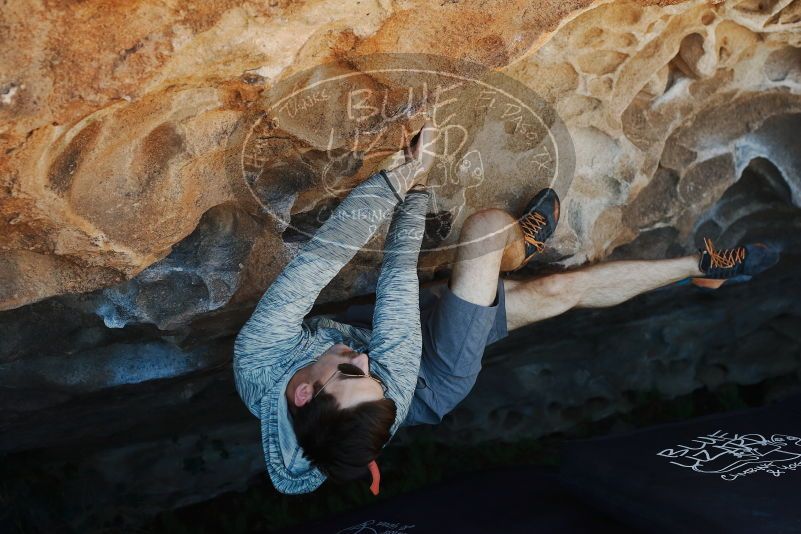 Bouldering in Hueco Tanks on 06/15/2019 with Blue Lizard Climbing and Yoga
Filename: SRM_20190615_1145300.jpg
Aperture: f/4.0
Shutter Speed: 1/800
Body: Canon EOS-1D Mark II
Lens: Canon EF 50mm f/1.8 II