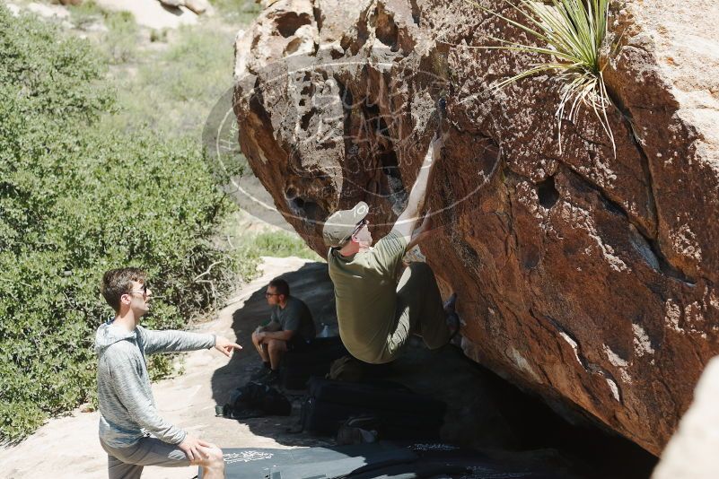 Bouldering in Hueco Tanks on 06/15/2019 with Blue Lizard Climbing and Yoga
Filename: SRM_20190615_1357170.jpg
Aperture: f/4.0
Shutter Speed: 1/500
Body: Canon EOS-1D Mark II
Lens: Canon EF 50mm f/1.8 II