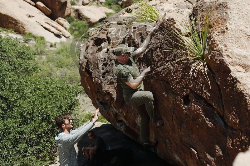 Bouldering in Hueco Tanks on 06/15/2019 with Blue Lizard Climbing and Yoga
Filename: SRM_20190615_1357270.jpg
Aperture: f/4.0
Shutter Speed: 1/1000
Body: Canon EOS-1D Mark II
Lens: Canon EF 50mm f/1.8 II